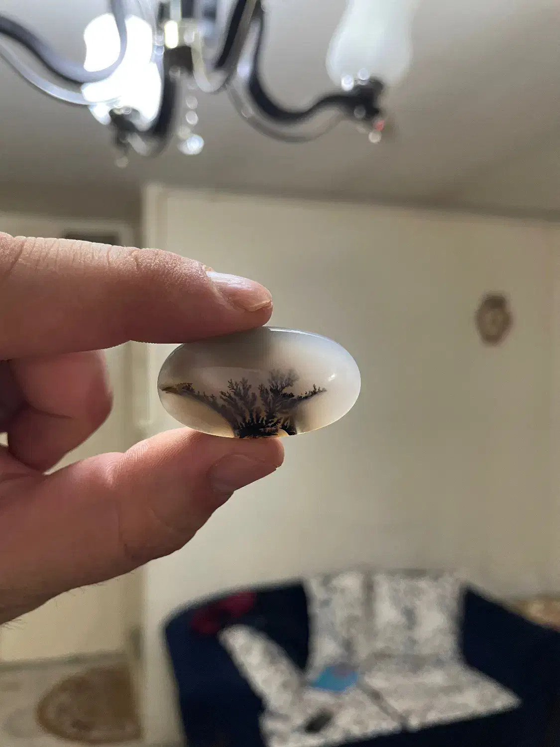 سنگ انگشتر شجر قائن کلکسیونی،عتیقه،باب طلا،معاوضه|جواهرات|تهران, تهرانسر شرقی|دیوار