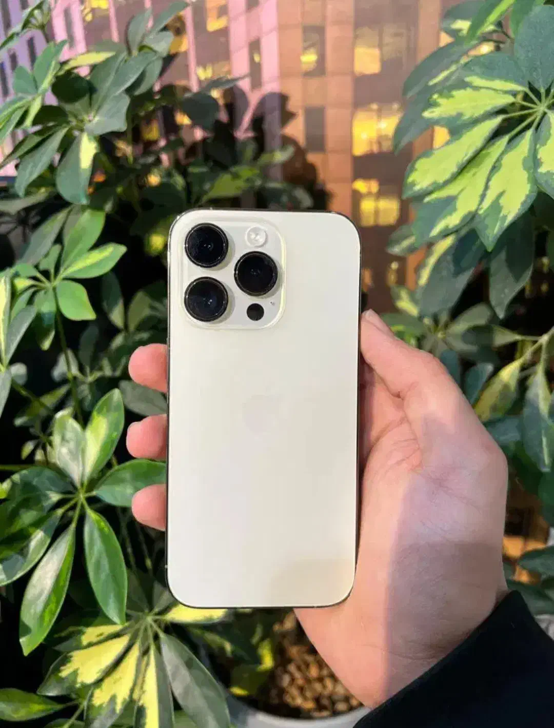 آیفون  15pro|موبایل|مرند, |دیوار