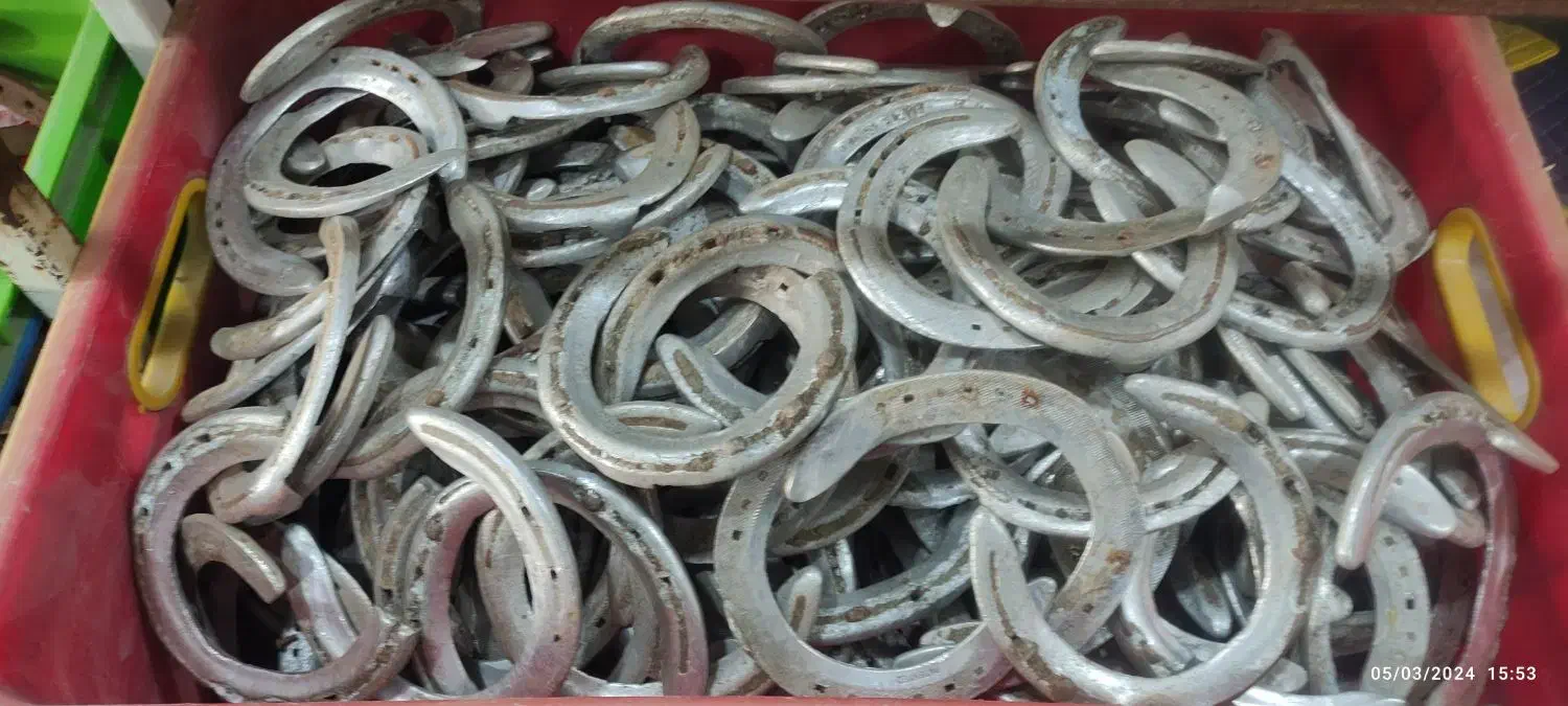 نعل اسب پاخورده|اسب و تجهیزات اسب‌سواری|بندر ترکمن, |دیوار