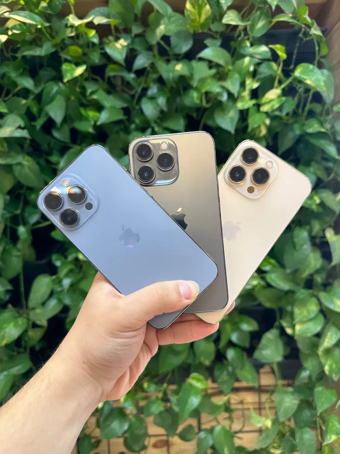 ایفون ۱۳پرو|موبایل|شیراز, معالی‌آباد|دیوار