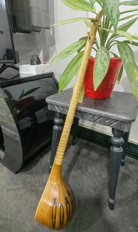 سه تار حرفه ای|سازهای سنتی|اسدآباد, |دیوار