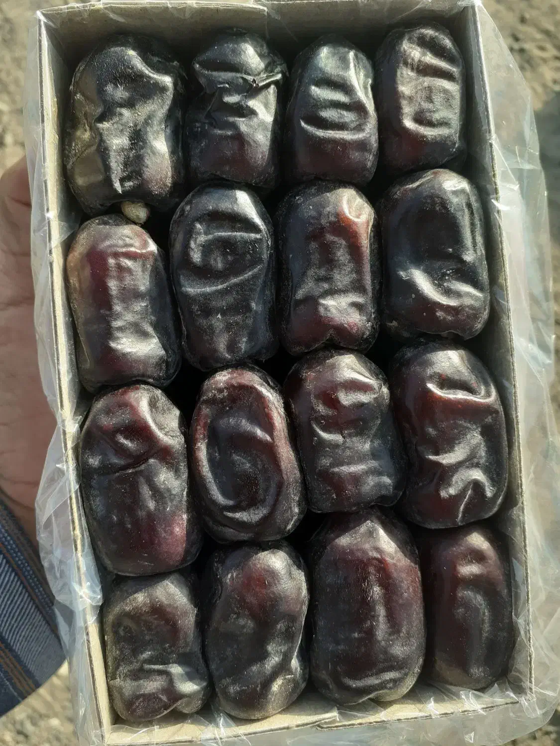 سلام فروش خرما درجه یک ۷ کیلو قیمت توافقی|عمدهفروشی|بم, |دیوار