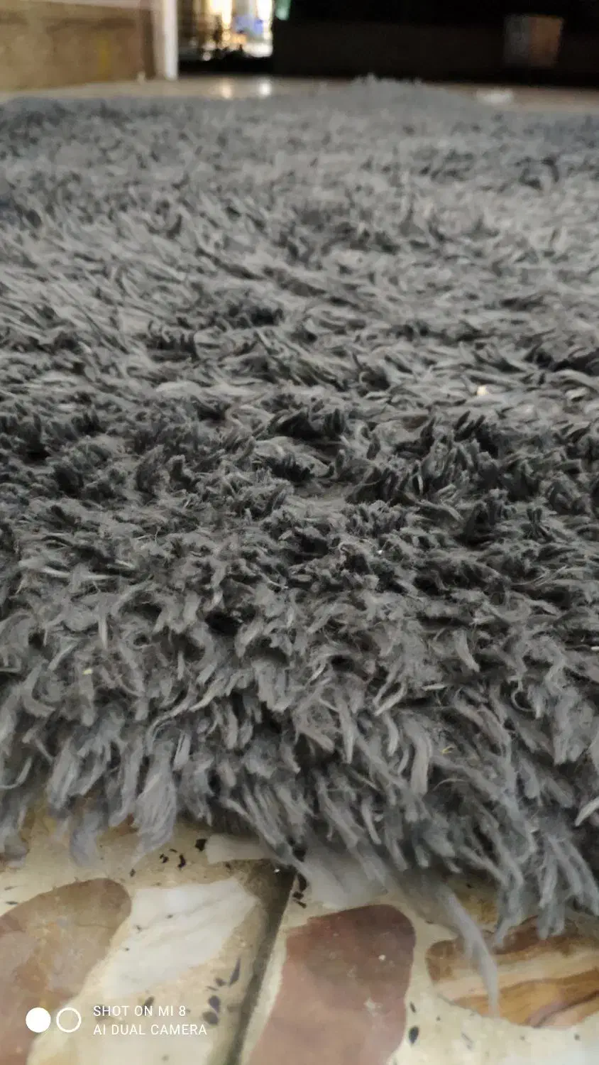 گلیم فرش فانتزی پشمی|فرش|بابل, |دیوار