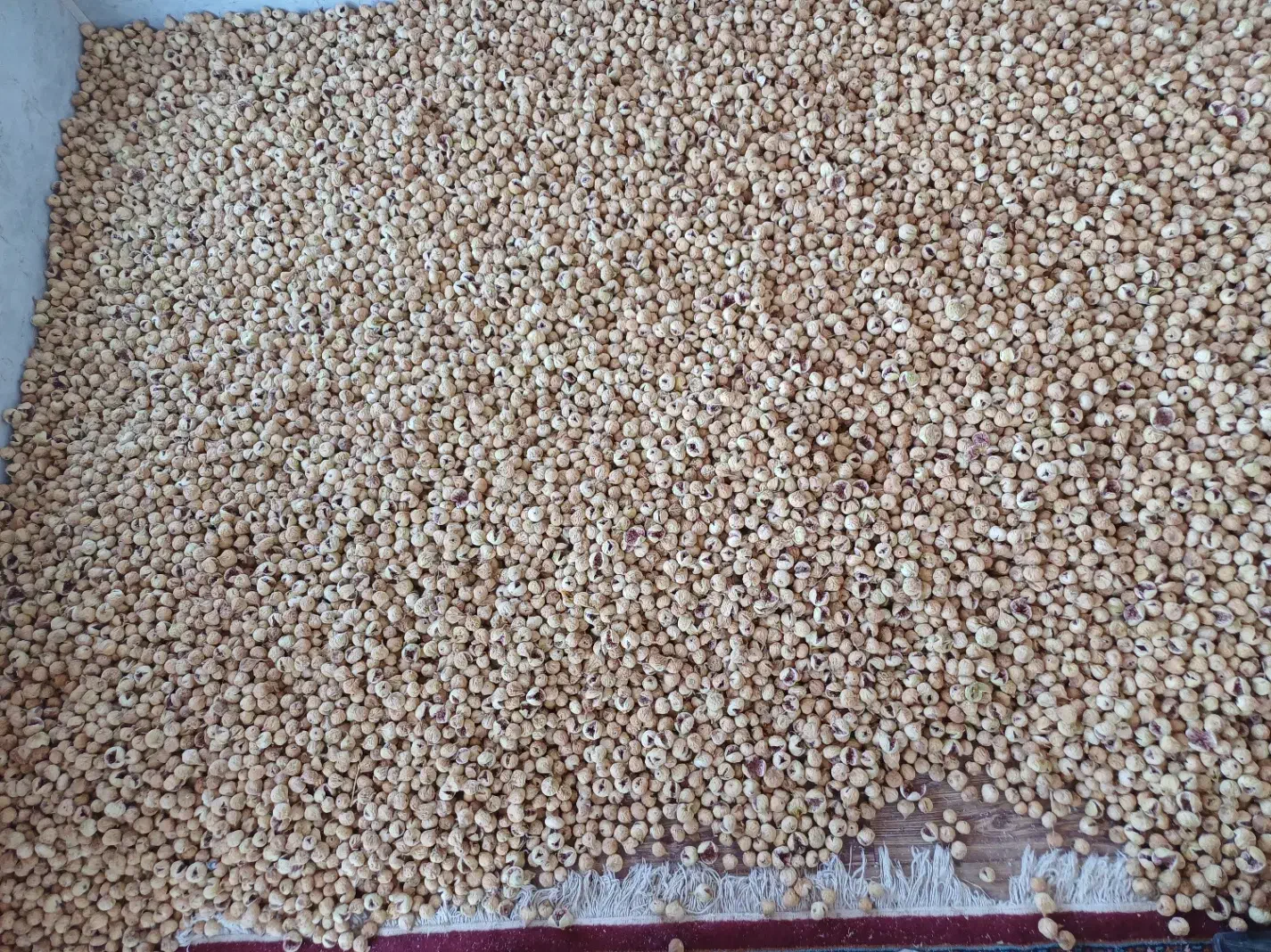 فروش انواع انجیر|خوردنی و آشامیدنی|استهبان, |دیوار