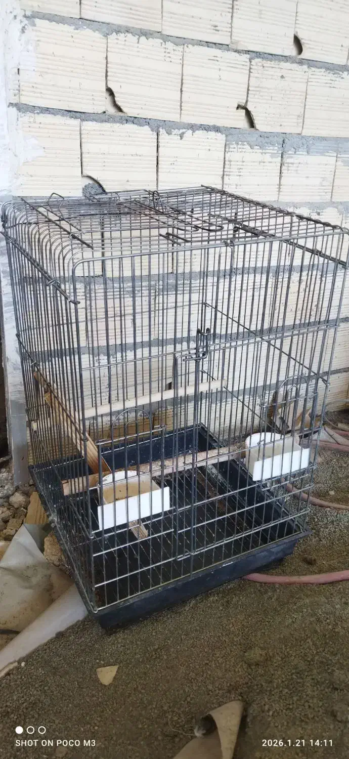 سالم و بزرگ|کالسکه و لوازم جانبی|کرمانشاه, |دیوار