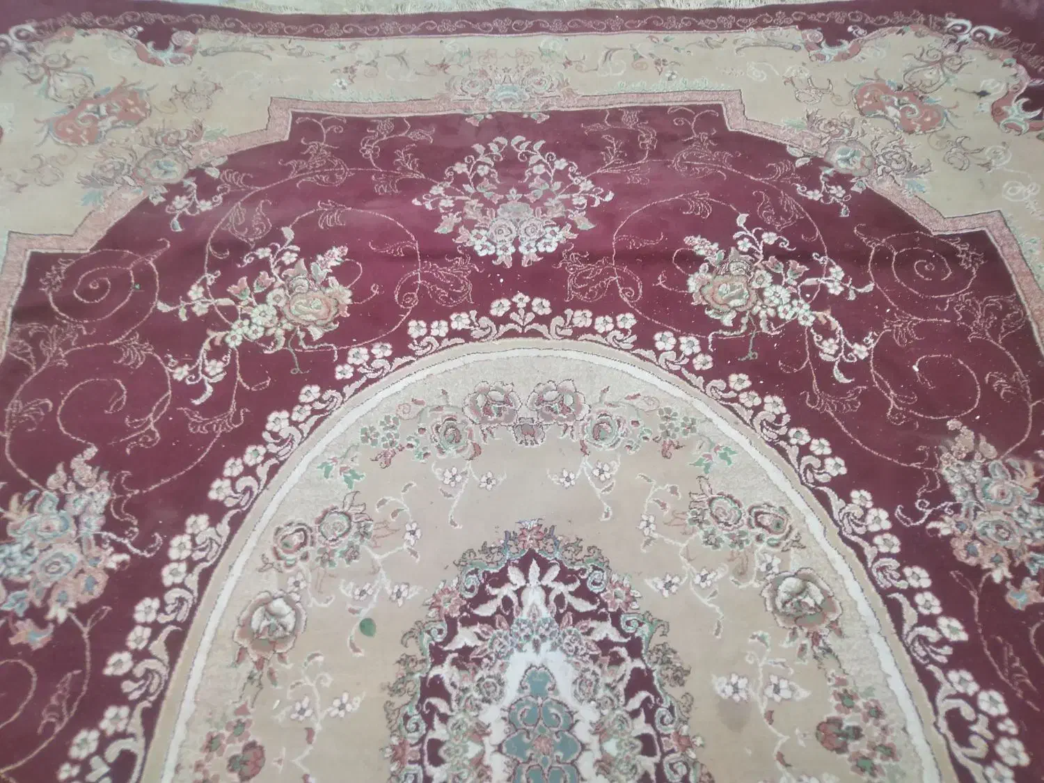 قالی12متری بسیار تمیز|فرش|رامشیر, |دیوار