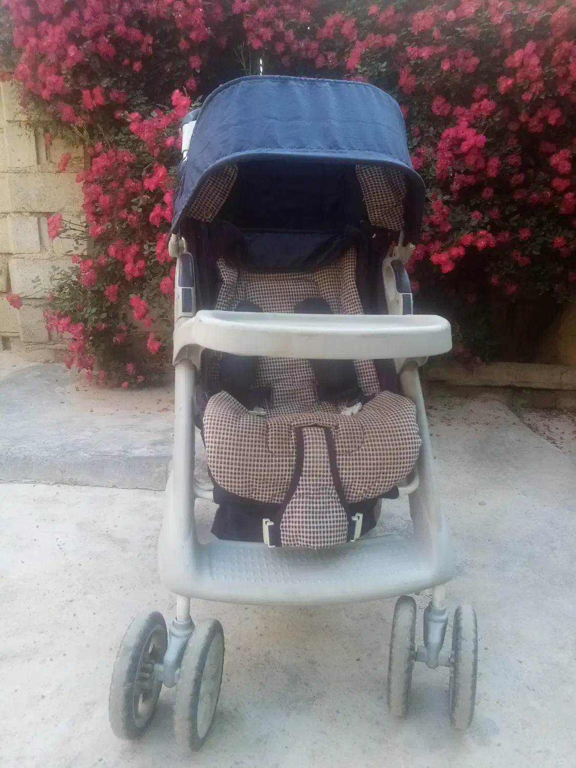 کالسکه و کریر|کالسکه و لوازم جانبی|گنبد کاووس, |دیوار