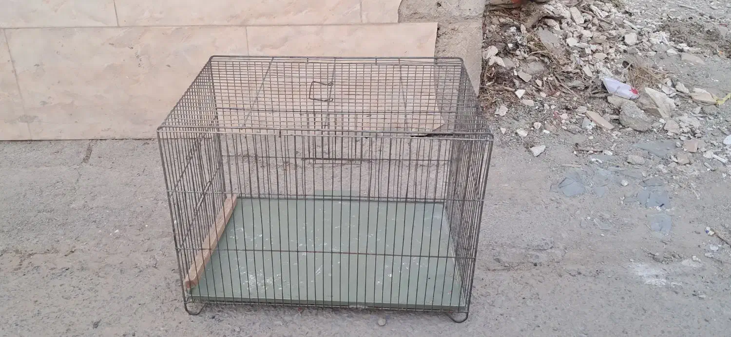 قفس|لوازم جانبی حیوانات|محمدشهر, همایون ویلا|دیوار