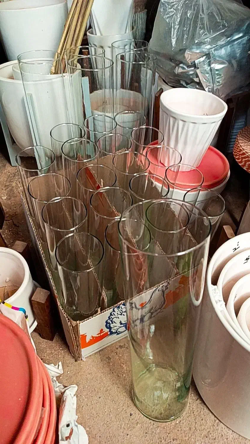 شیشه گلدان|گل و گیاه طبیعی|جوانرود, |دیوار