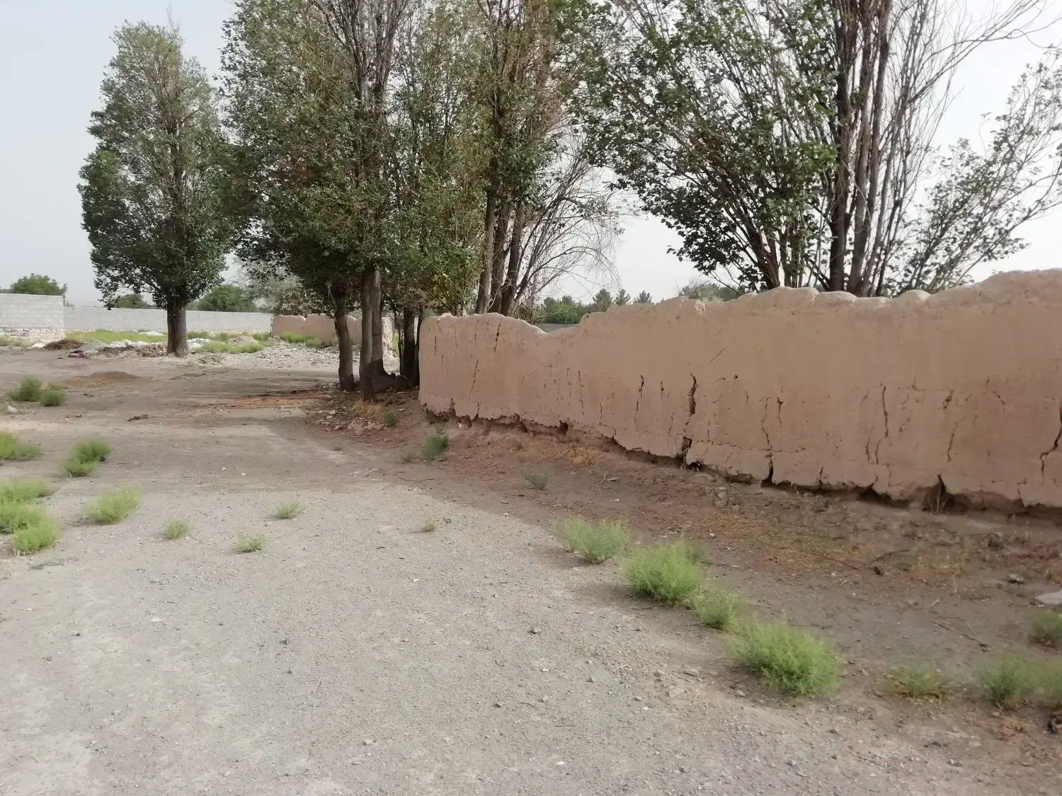 فروش حق الورثه|فروش زمین و ملک کلنگی|بناب, |دیوار