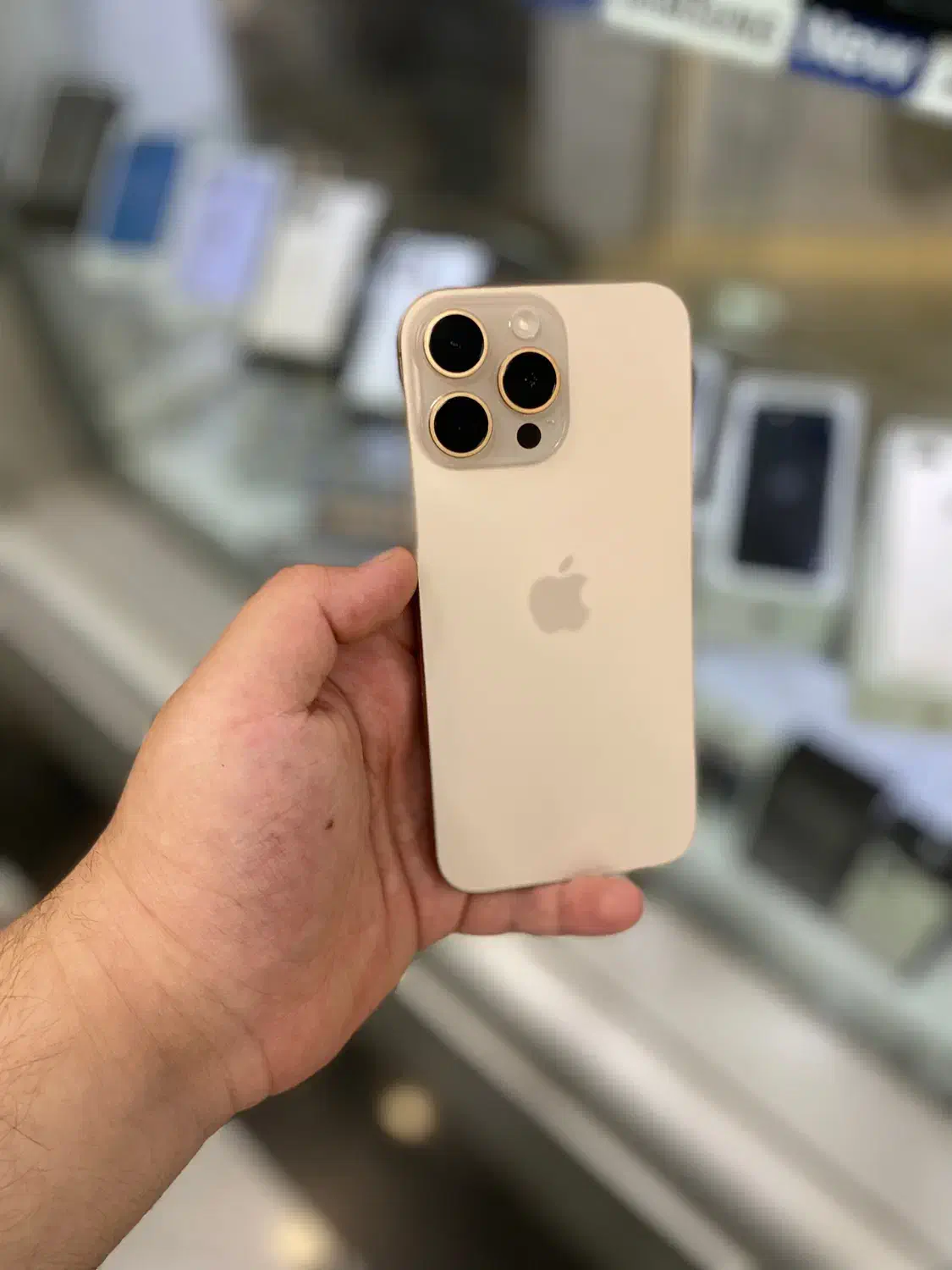 16 promax 256 zaa|موبایل|رشت, لاکانی|دیوار