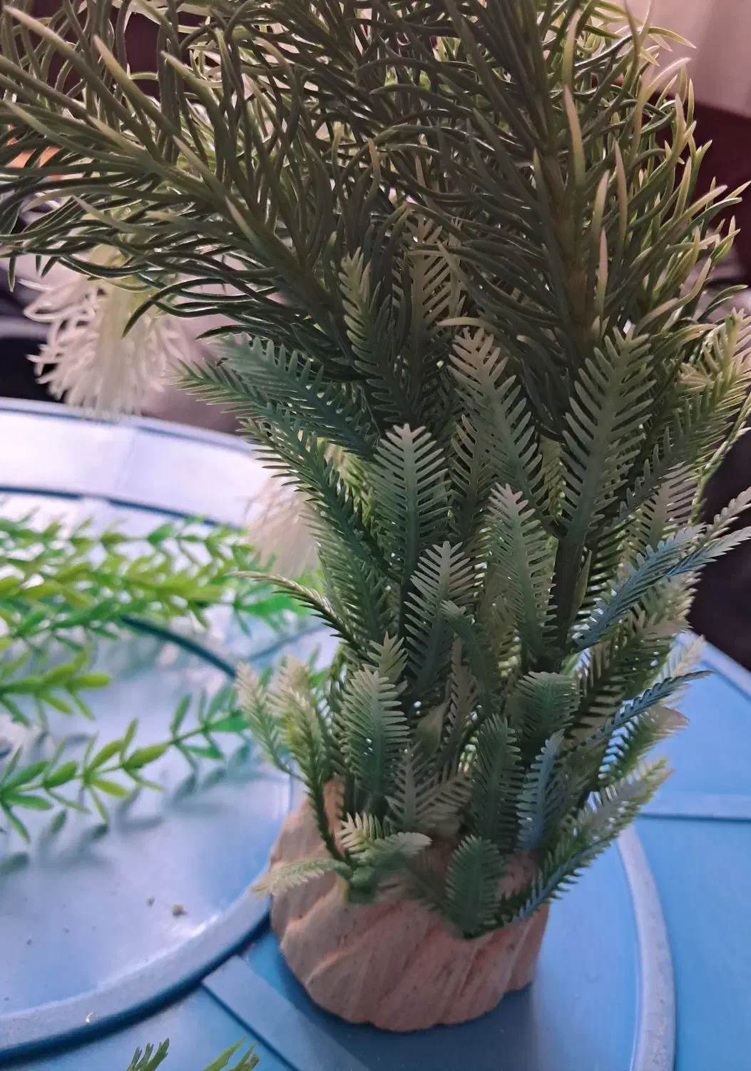 لوازم آکواریوم|ماهی|تهران, جوادیه تهرانپارس|دیوار