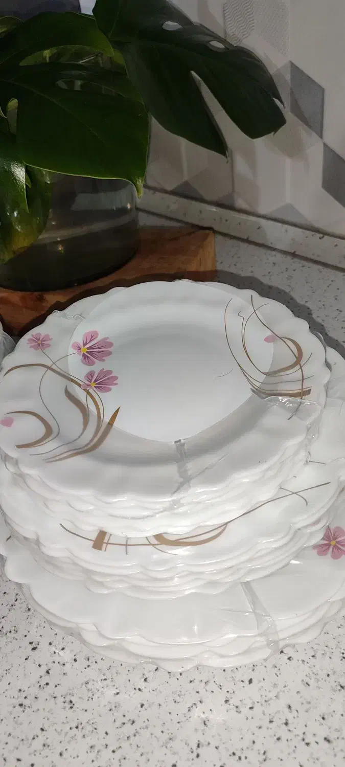 ظرف 26پارچه|ظروف سرو و پذیرایی|گنبد کاووس, |دیوار