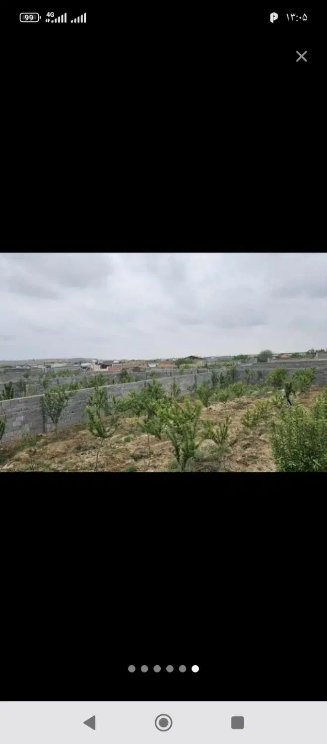 زمین باغ مسکونی باغی گوارشک حسن اباد دیاکوفرماینه|فروش خانه و ویلا|مشهد, توس فردوسی|دیوار