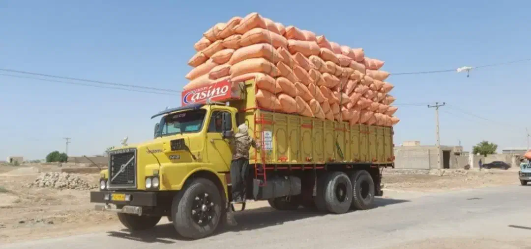 الک شده خرمنکوب|خدمات باغبانی و درختکاری|تربتحیدریه, پائین ولایت|دیوار