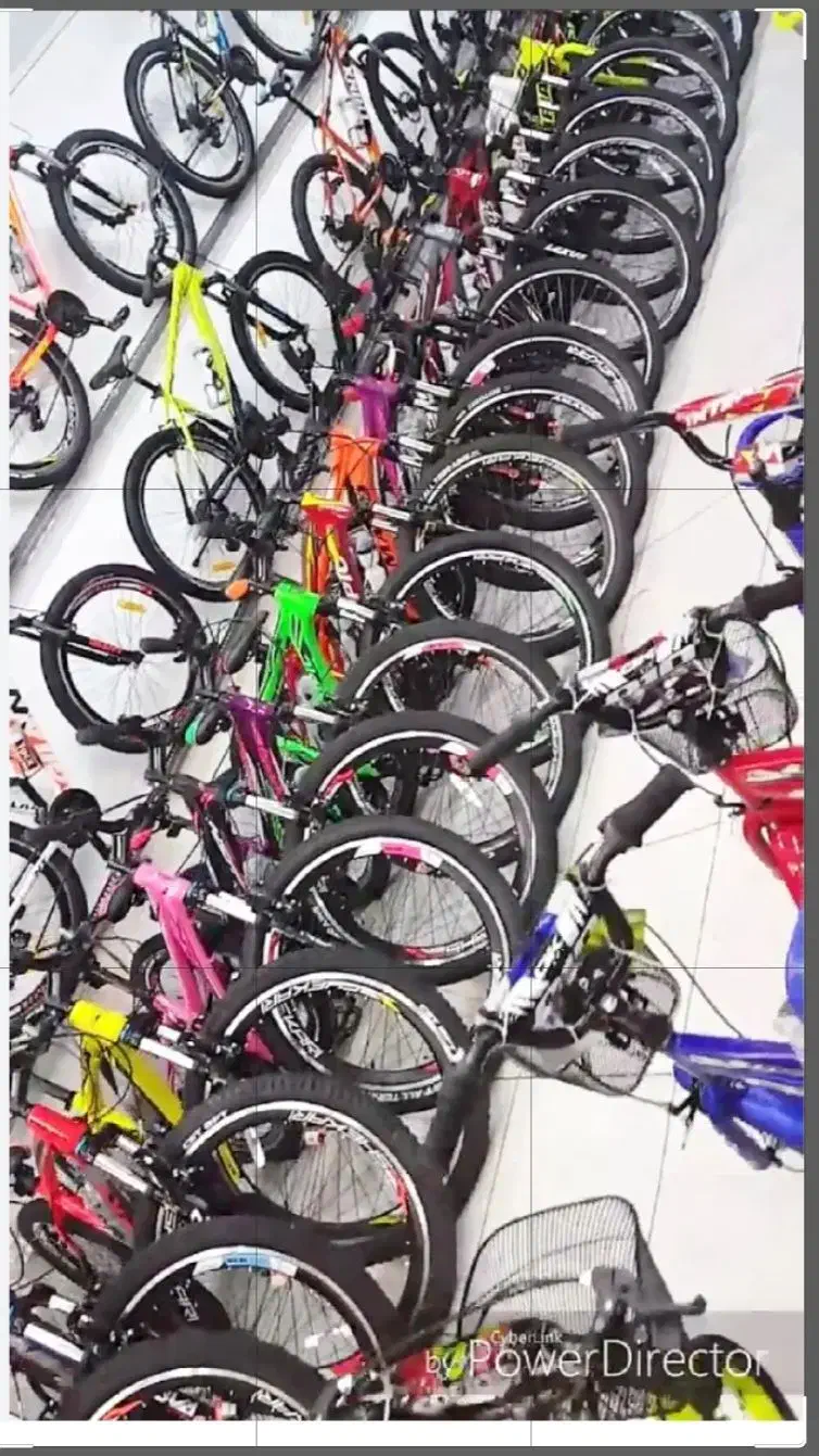 فروش تخصصی دوچرخههای کوهستان و شهری ٪برندمعتبر|دوچرخه، اسکیت، اسکوتر|فردیس, سرحدی|دیوار