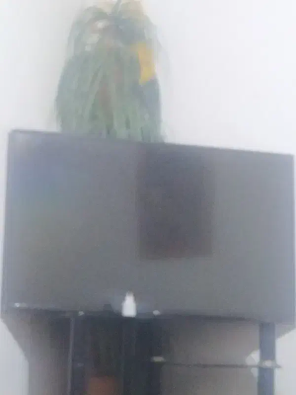 تلویزیون ال جی۴۹|تلویزیون و پروژکتور|الیگودرز, |دیوار