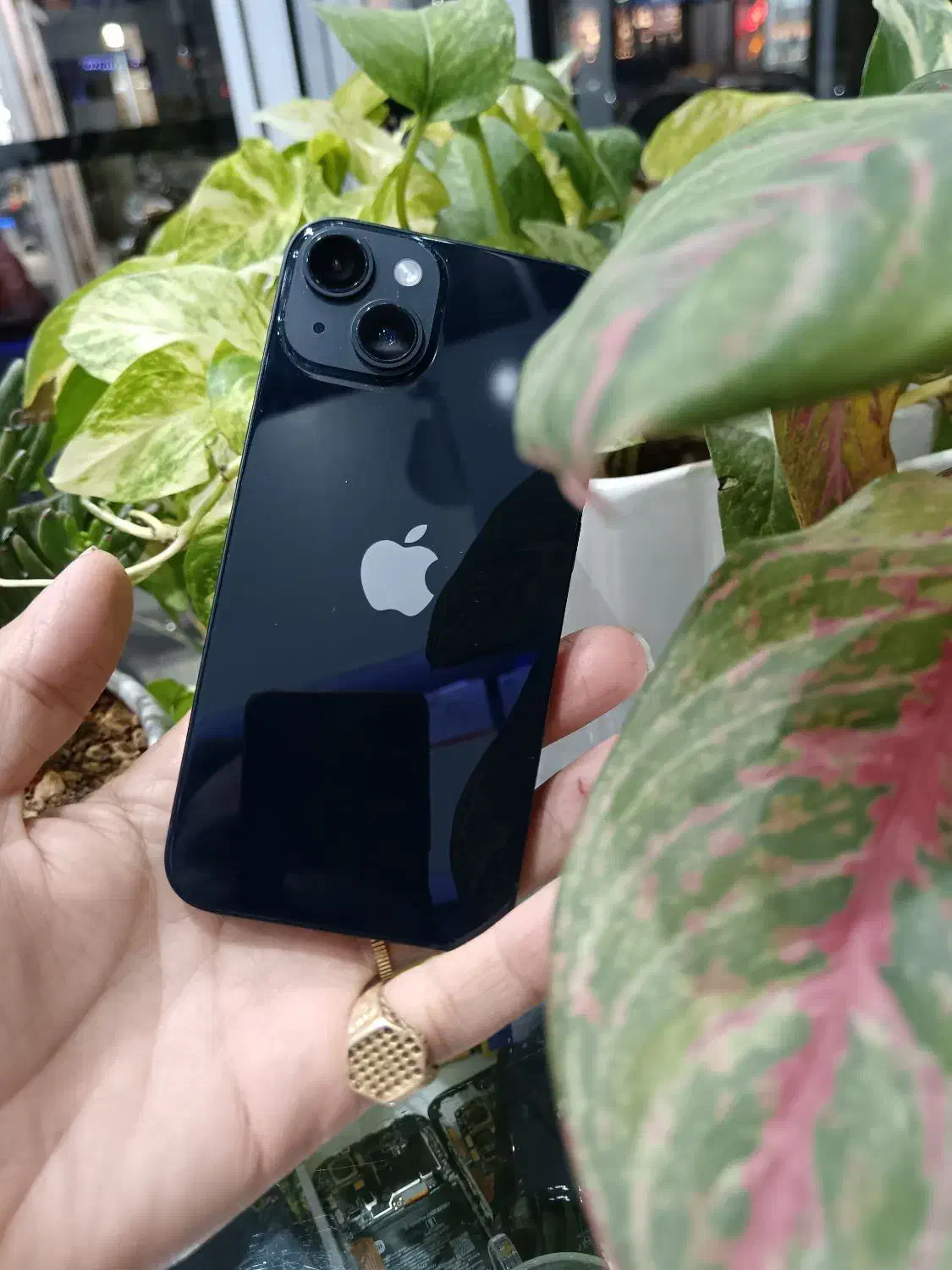 ایفون14|موبایل|نیشابور, محله میدان باغات|دیوار