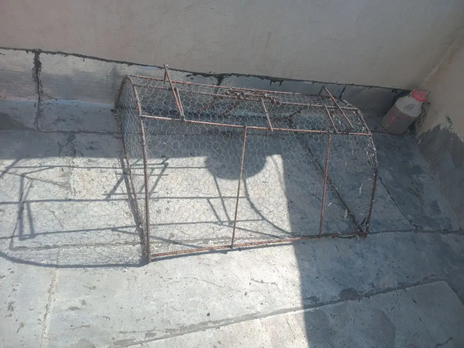 تله پرمده|لوازم جانبی حیوانات|بومهن, |دیوار