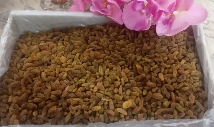 کشمش سبز|خوردنی و آشامیدنی|تهران, جوانمرد قصاب|دیوار