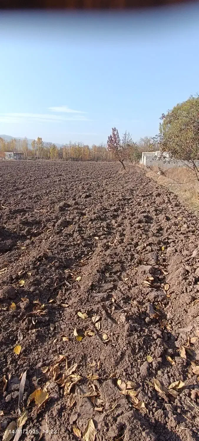 باغ بالاتر از رحیم لینچان|فروش زمین و ملک کلنگی|فیرورق, |دیوار