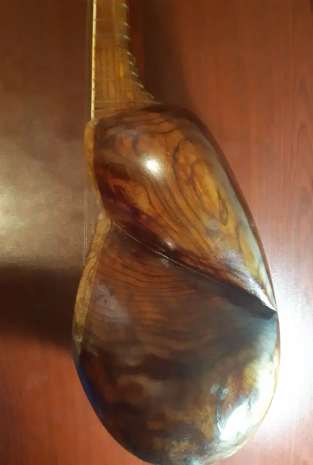 تار درگاهی|سازهای سنتی|تهران, فرمانیه|دیوار