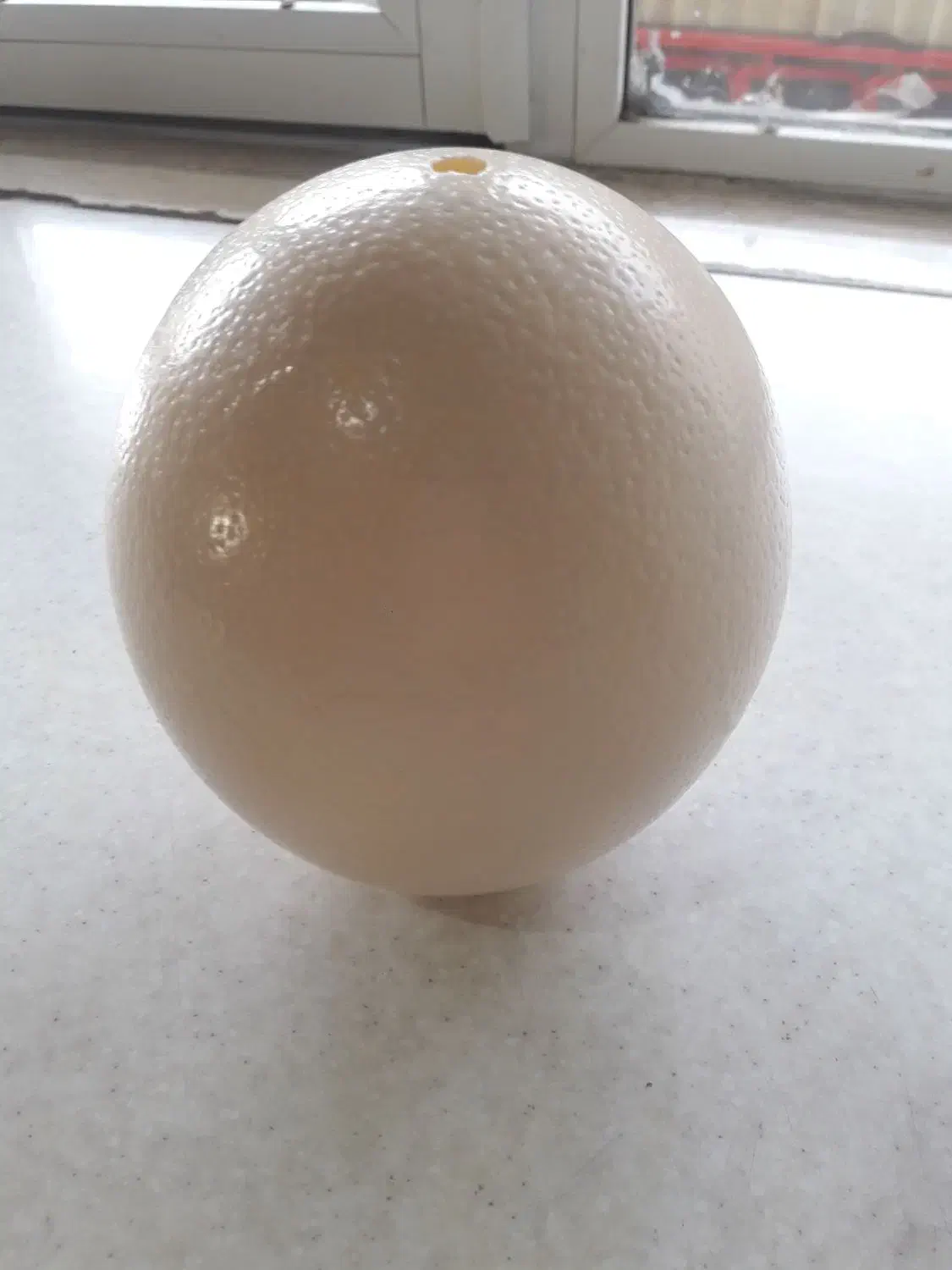 تخم شترمرغ خالی|صنایع دستی و سایر لوازم تزئینی|مشهد, مصلی (کارمندان اول)|دیوار