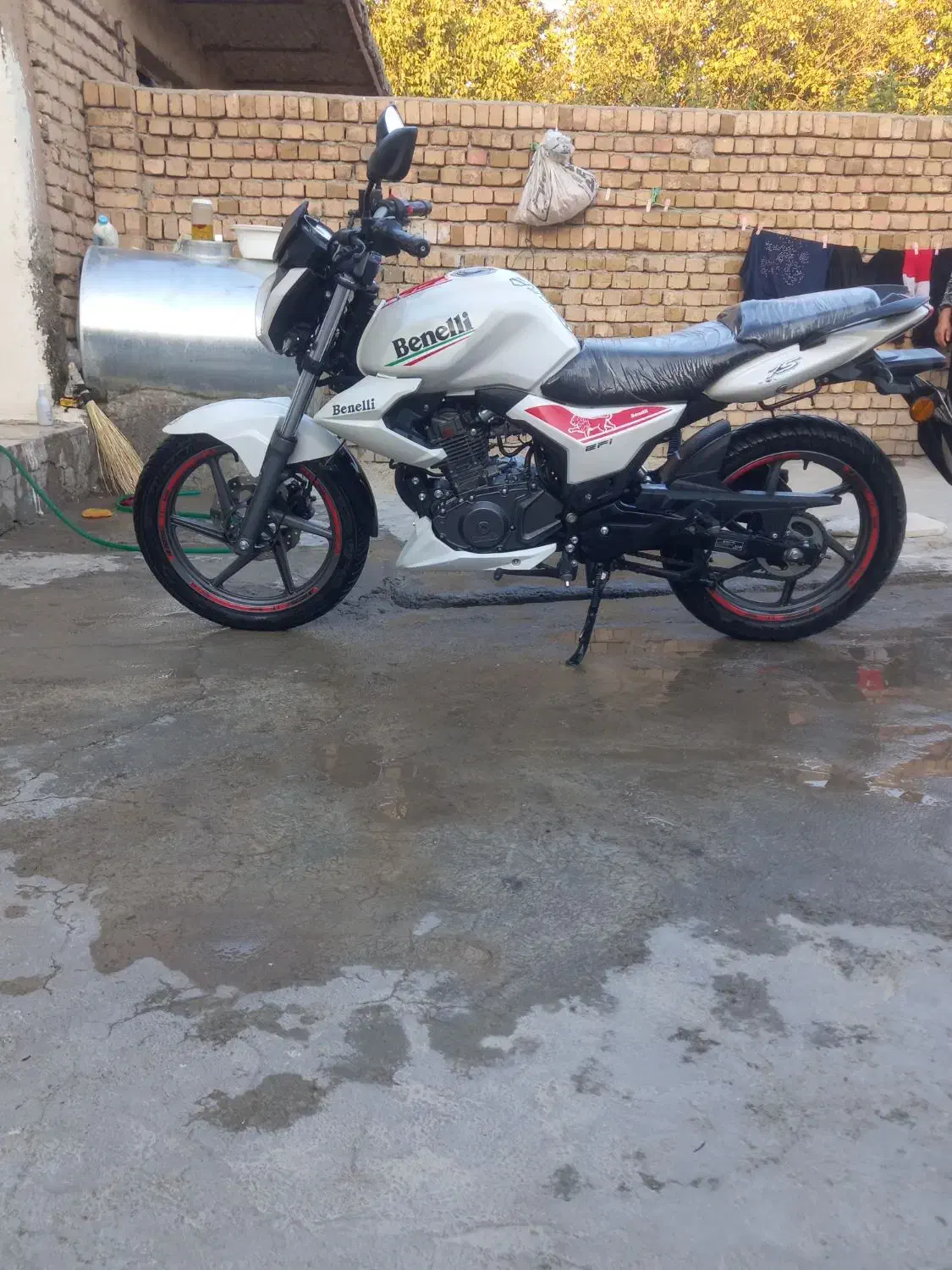 موتور  بنلی ۱۵۰|موتورسیکلت|بروجرد, |دیوار