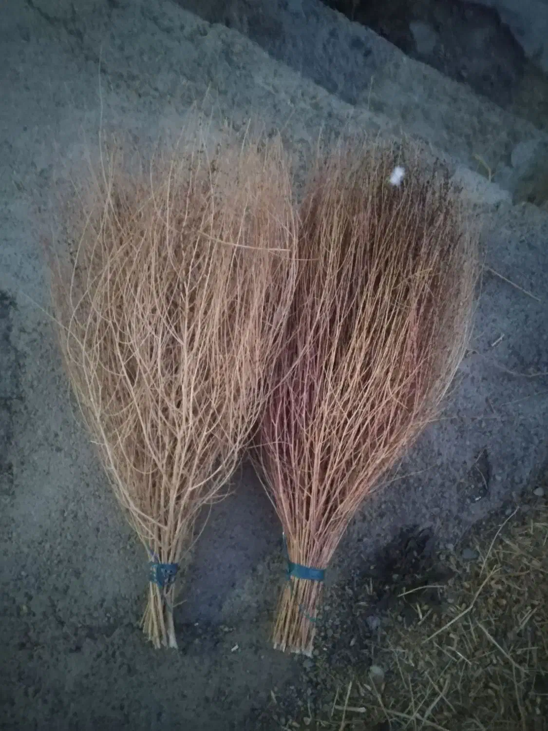 جارو محلی|لوازم نظافت|قروه, |دیوار