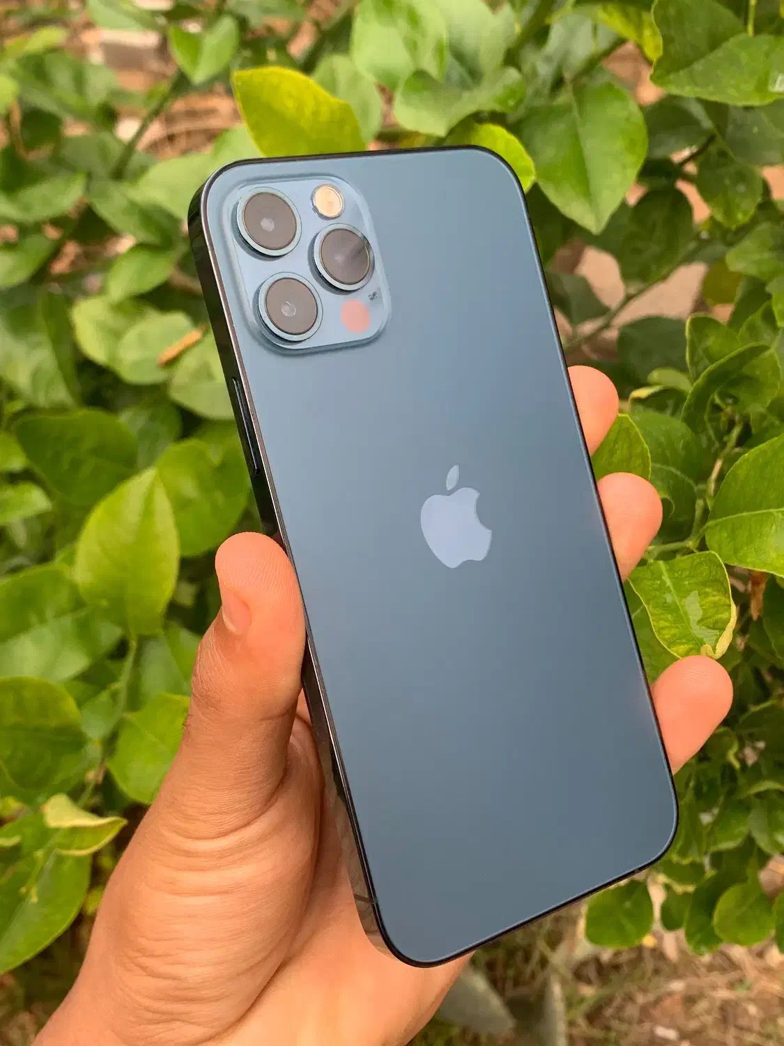 ایفون ۱۲پرو درحد اک۲۵۶گیگ|موبایل|دزفول, |دیوار