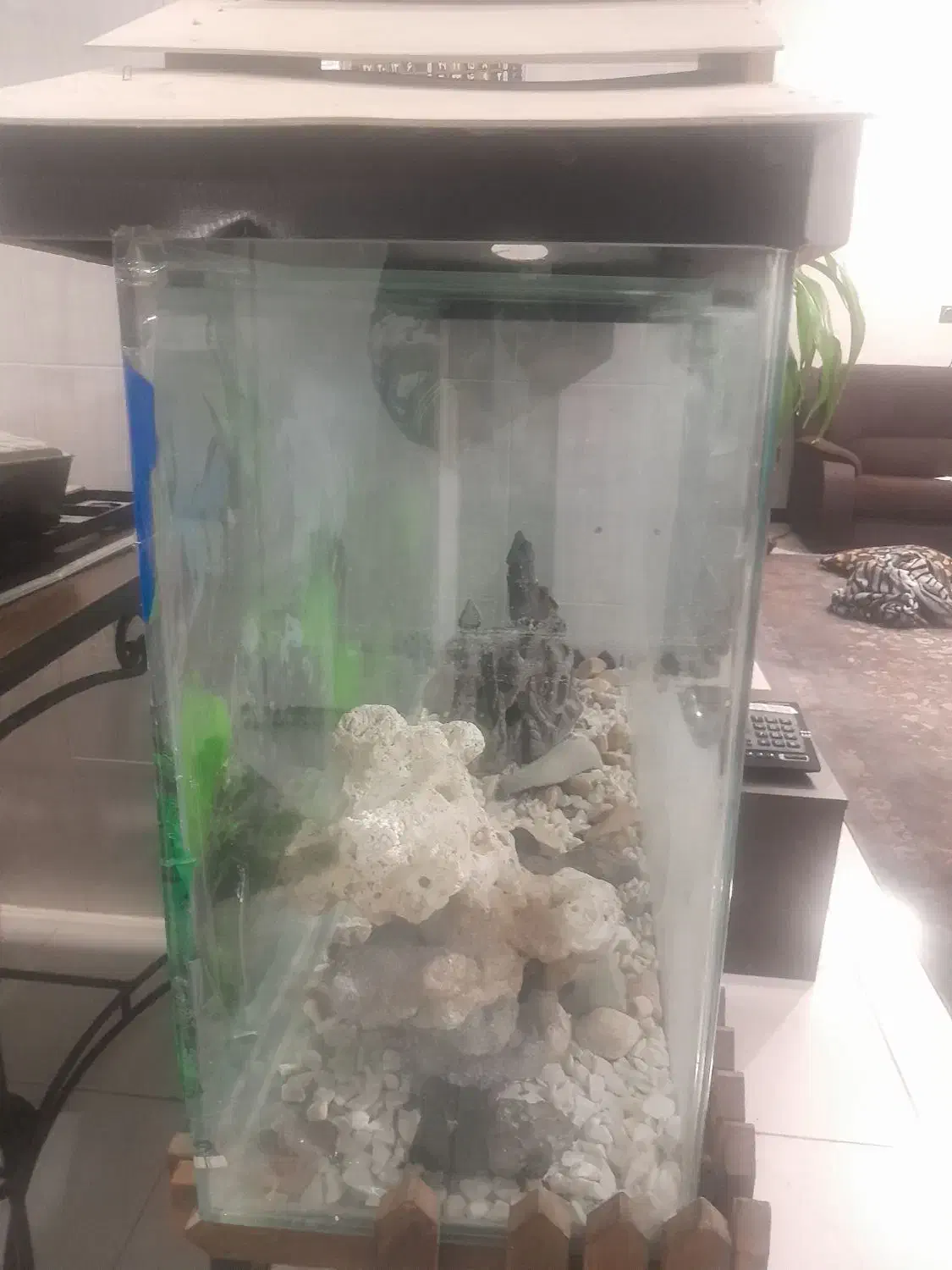 آکواریوم شیشه خم|ماهی|اصفهان, شهرک کاوه|دیوار