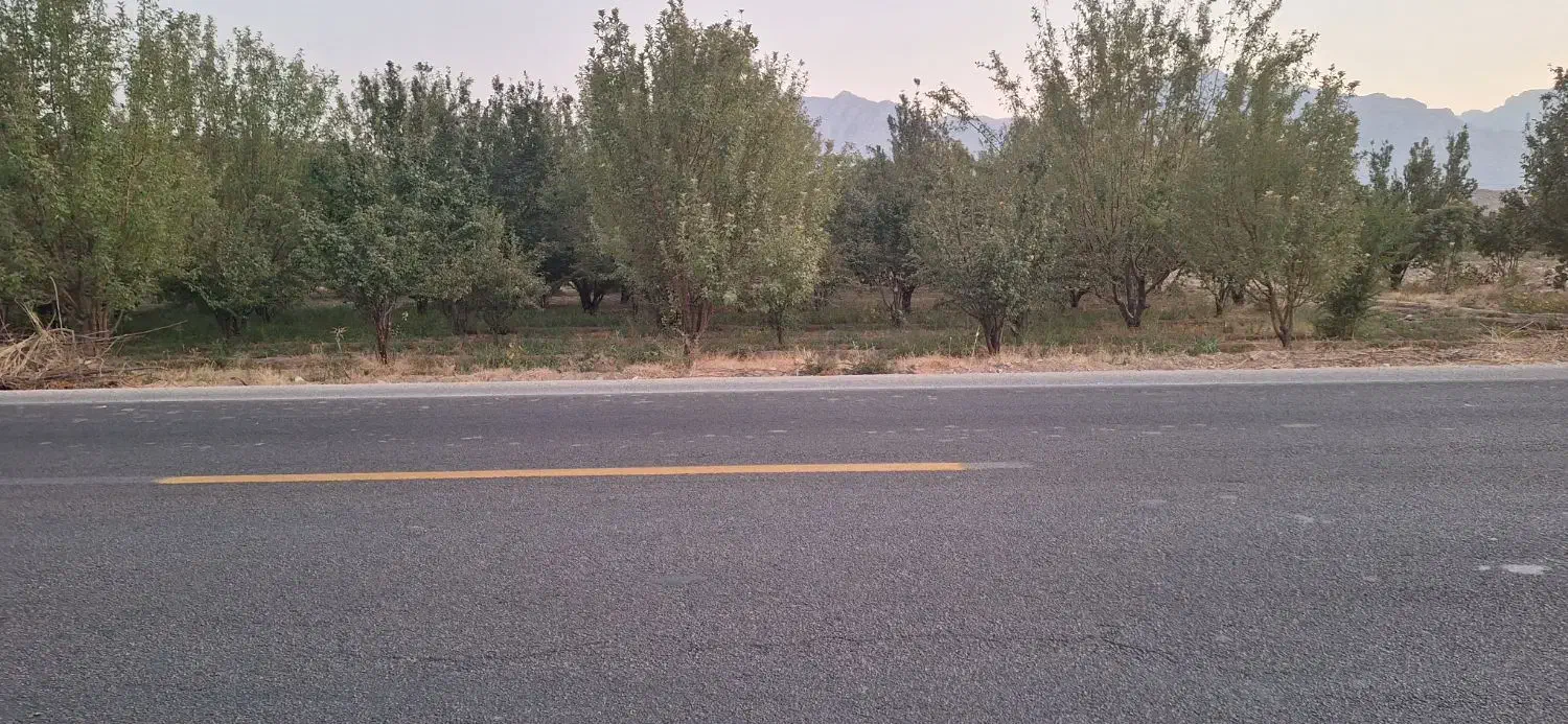 فروش باغ|فروش زمین و ملک کلنگی|رونیز, |دیوار