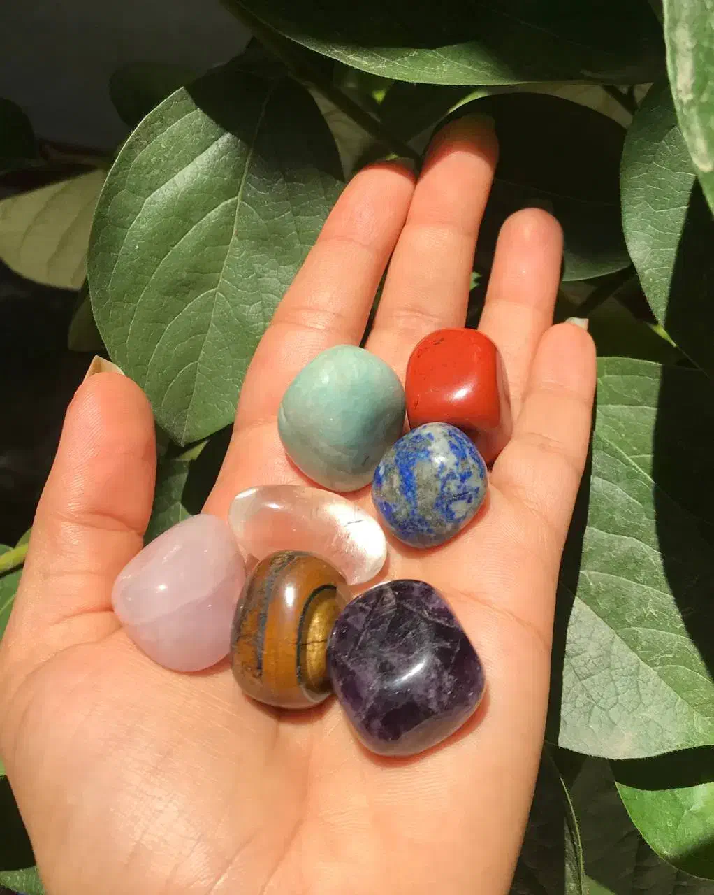 هفت چاکرا|کلکسیون اشیاء عتیقه|تهران, فلسطین (میدان انقلاب)|دیوار