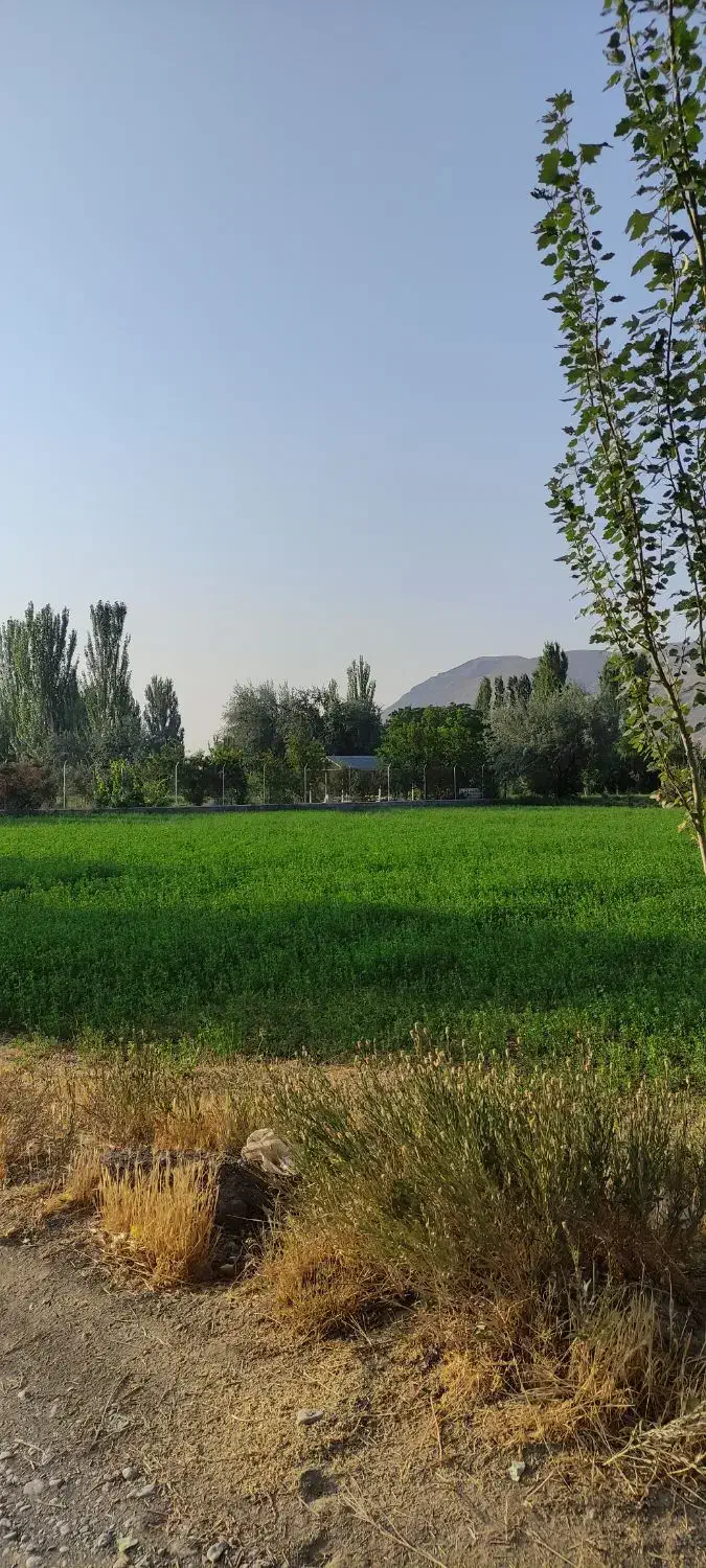 راهنمایی کنید|فعالیت داوطلبانه|تهران, آهنگ|دیوار