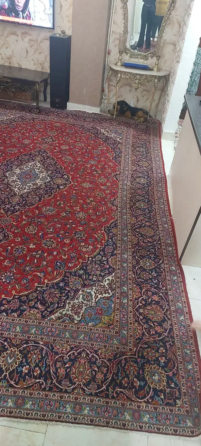 فرش دستباف  ۱۴ متری کاشان|فرش|اسلام‌شهر, مظفریه|دیوار