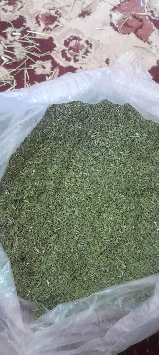 برگ شوید|خوردنی و آشامیدنی|خواف, |دیوار