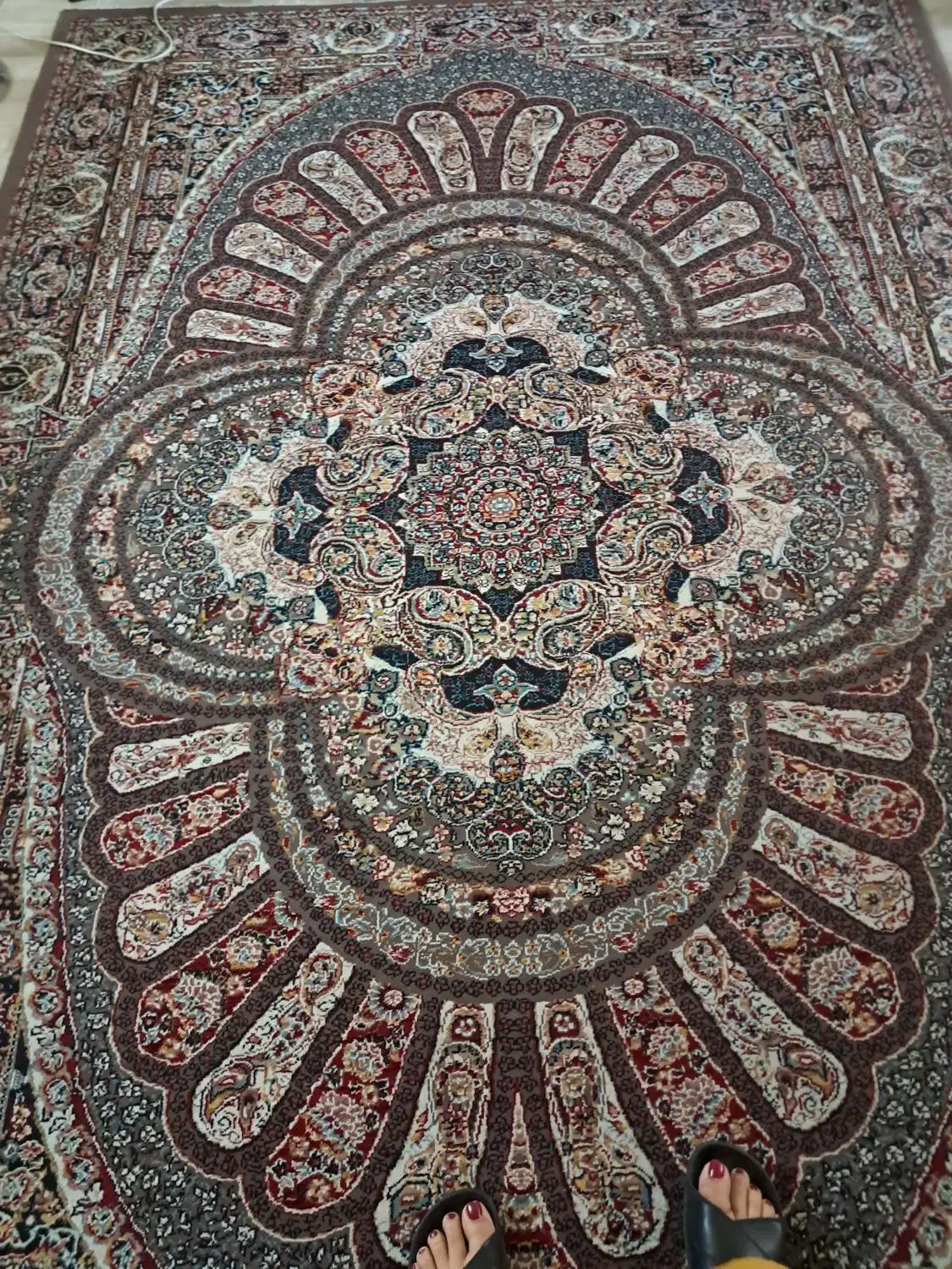 فرش ۶متری|فرش|تهران, شهرک دانشگاه|دیوار