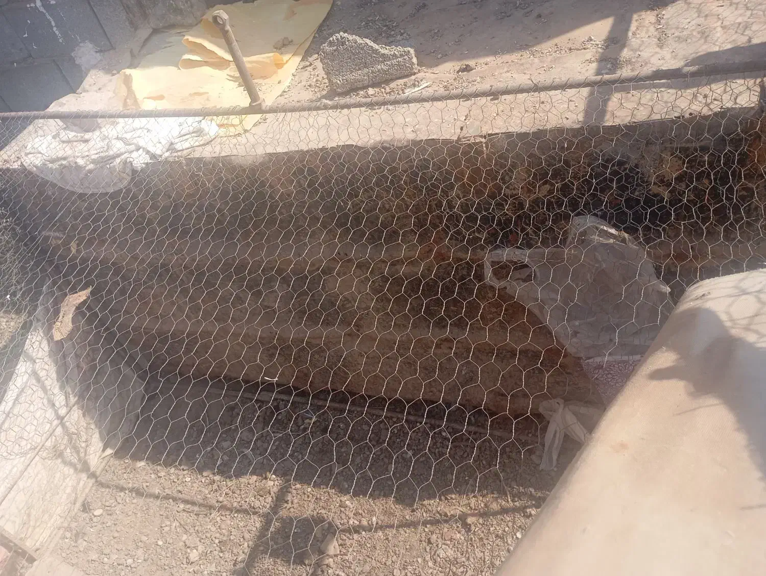 کت اهنی سوراخ تمیز کار درست|لوازم جانبی حیوانات|رفسنجان, |دیوار