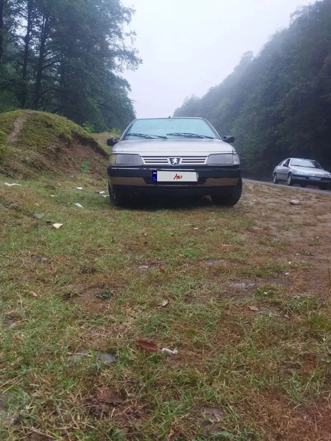 پژو ۴۰۵ مدل ۸۵ دوگانه|خودرو سواری و وانت|کرج, بنیاد|دیوار