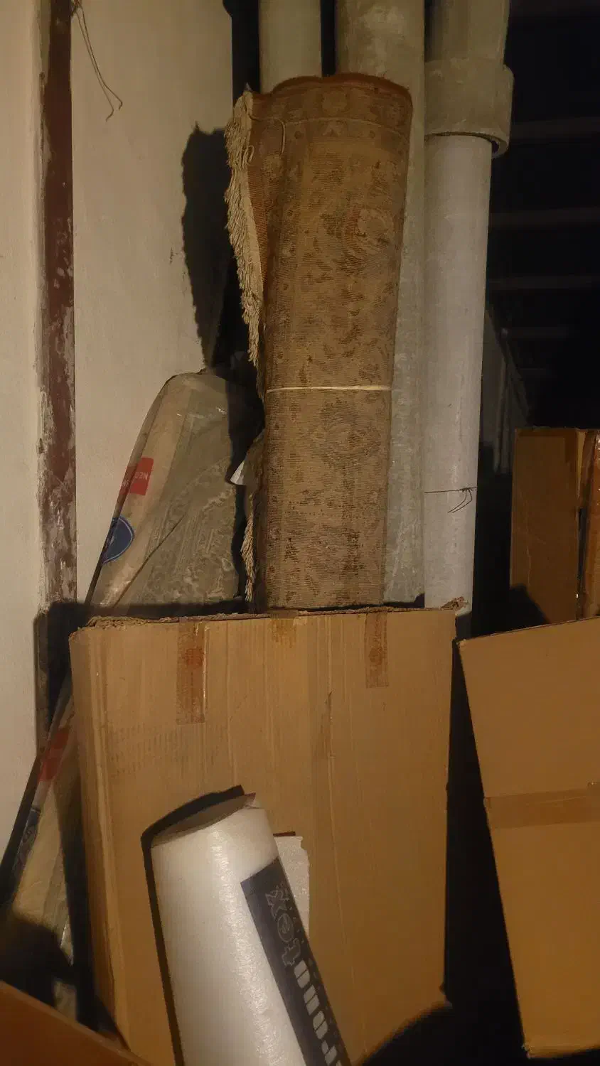 فرش ماشینی ۶ متری به همراه وسایل اضافه|فرش|رشت, دیلمان|دیوار