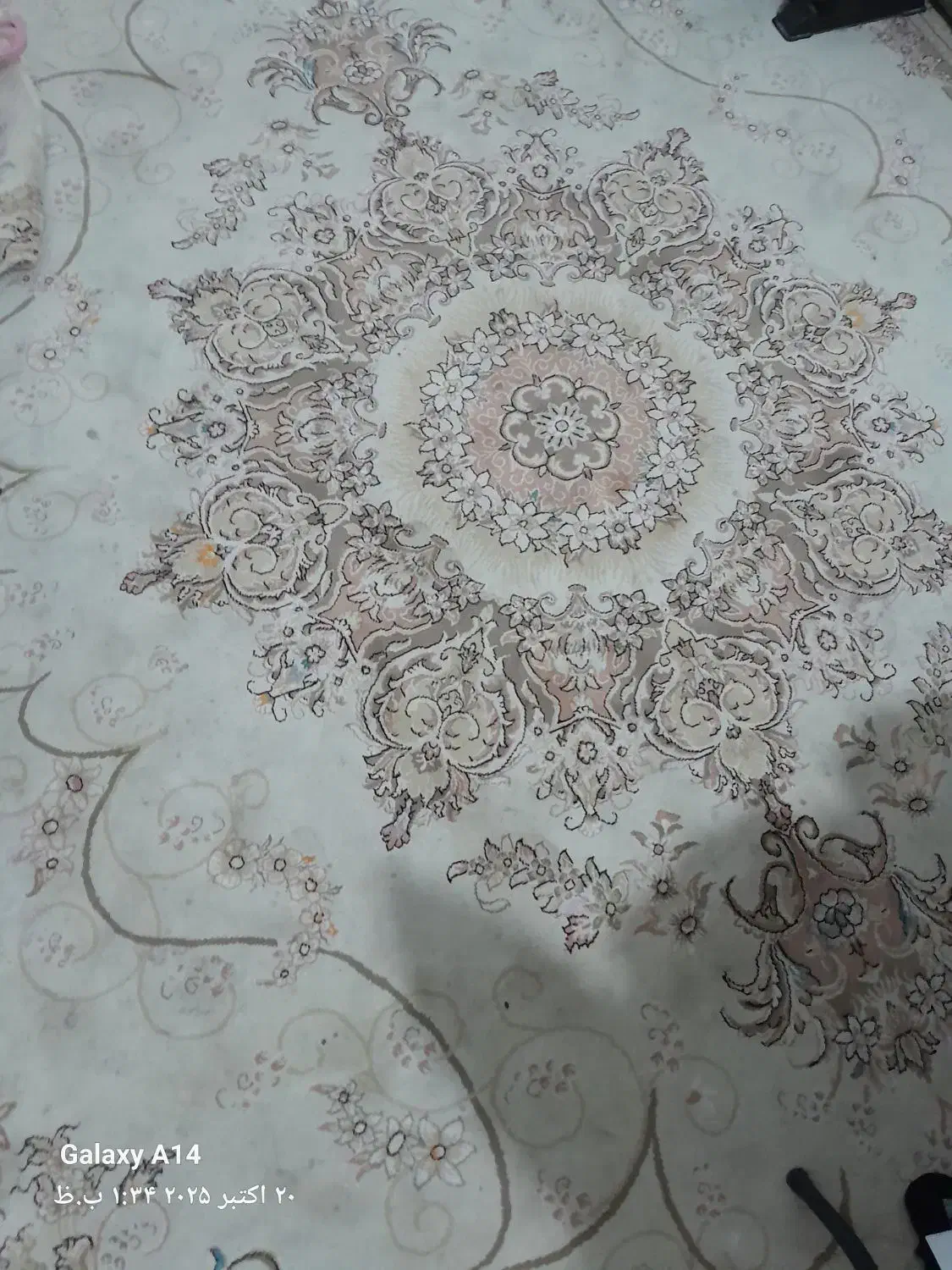 فرش۱۲متری|فرش|شوشتر, |دیوار