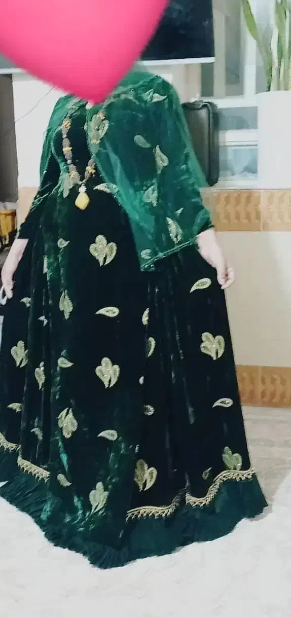 لباس محلی مخمل سبز|لباس|یاسوج, |دیوار