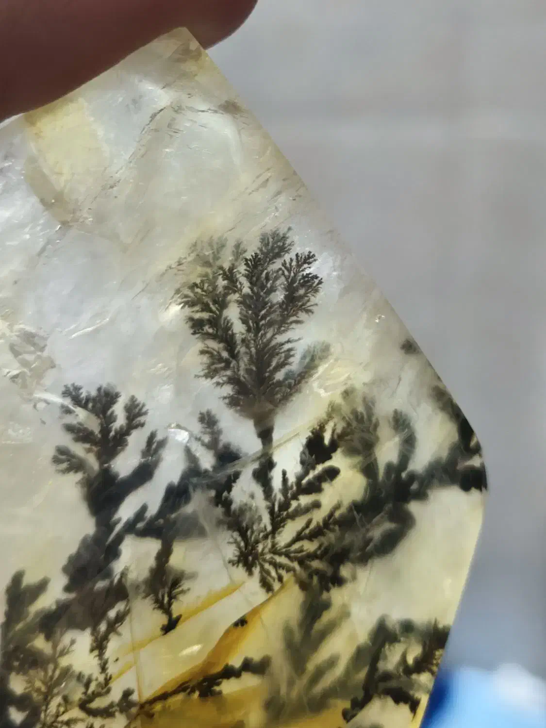 کوارتز شجر قواره برزیلی کلکسیونی|جواهرات|قم, ارم|دیوار