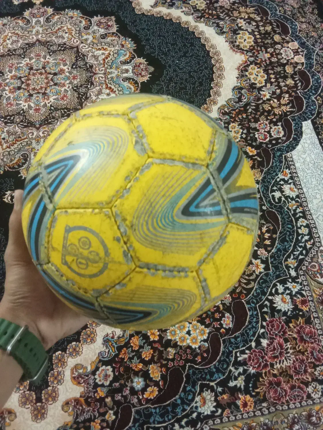 توپ سالن استار|ورزشهای توپی|بیرجند, |دیوار