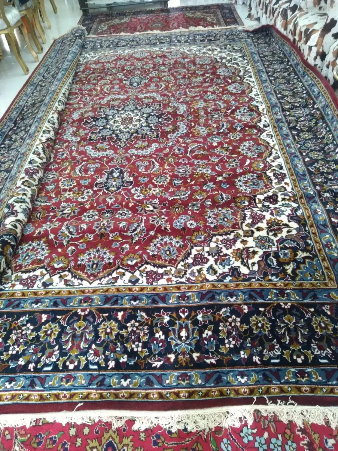 فرش ماشینی دوازده متر|فرش|تبریز, |دیوار