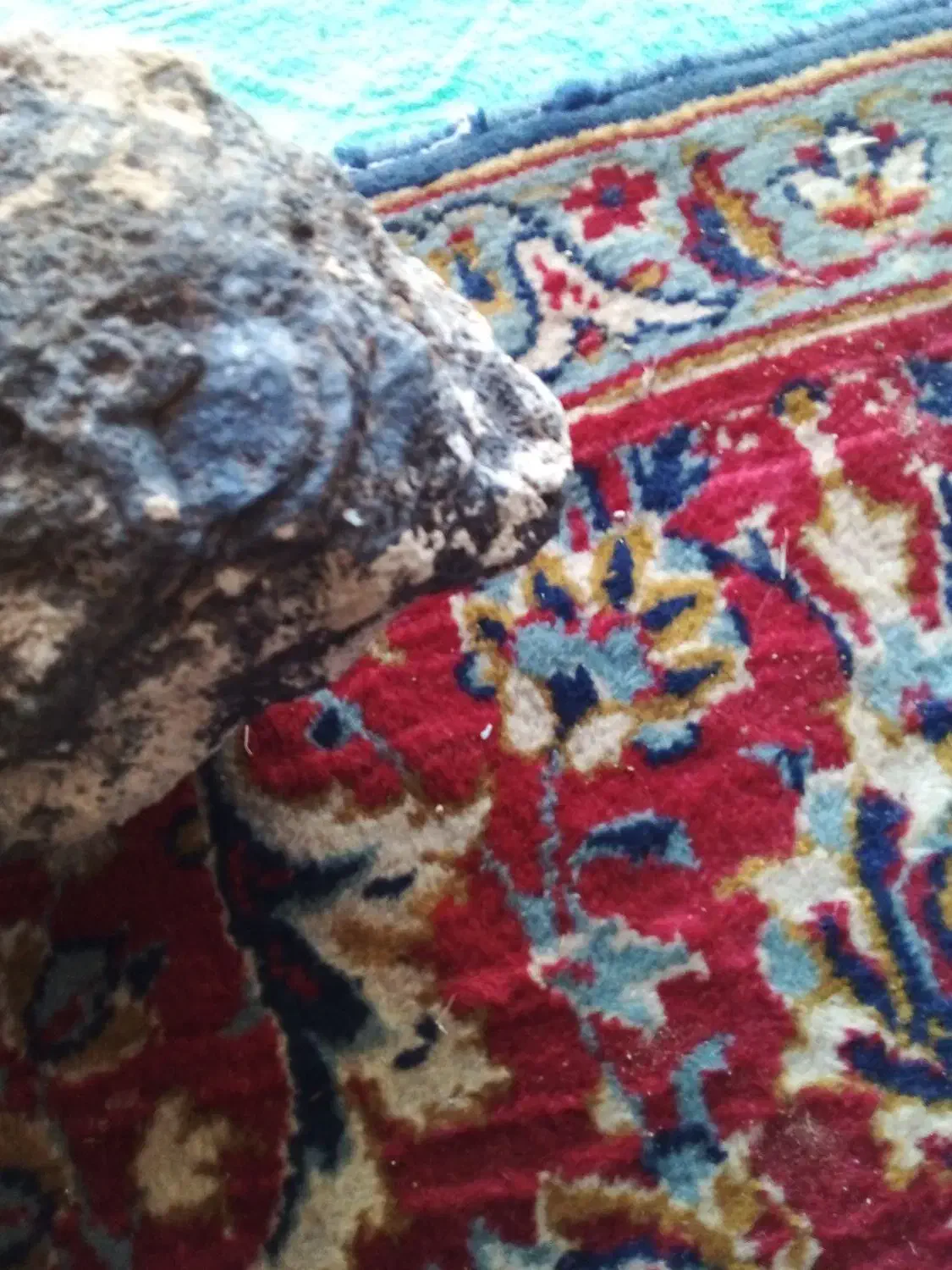 سنگ|کلکسیون اشیاء عتیقه|بستان آباد, |دیوار