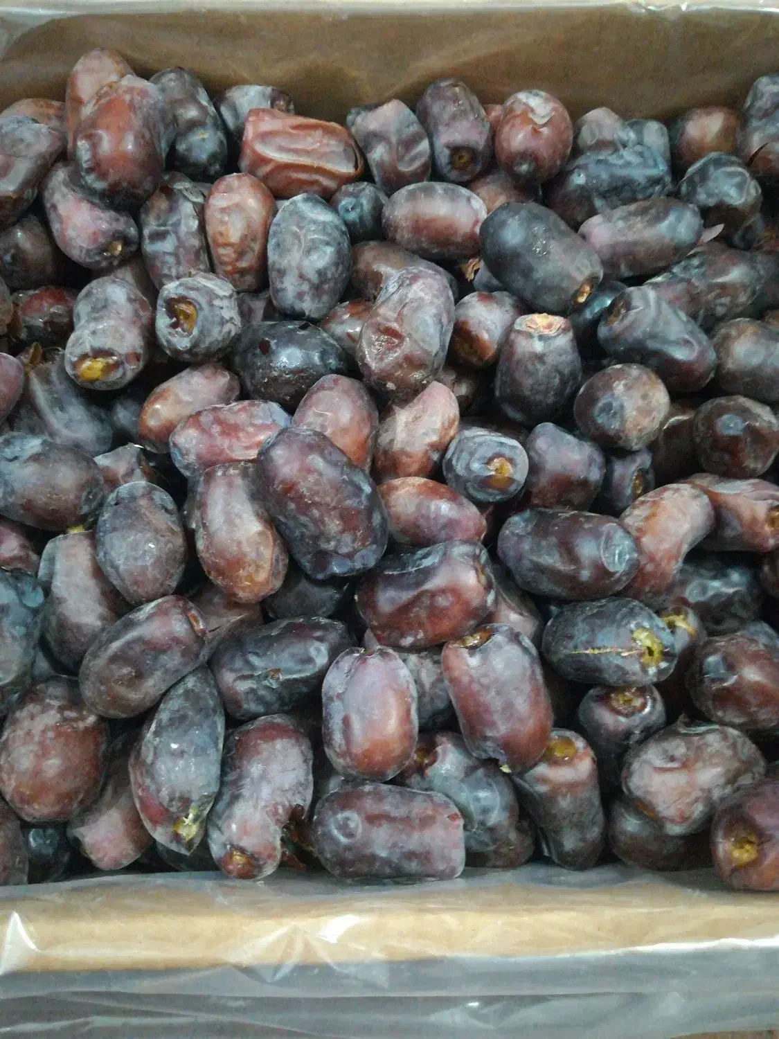 خرما فله|خوردنی و آشامیدنی|بم, |دیوار