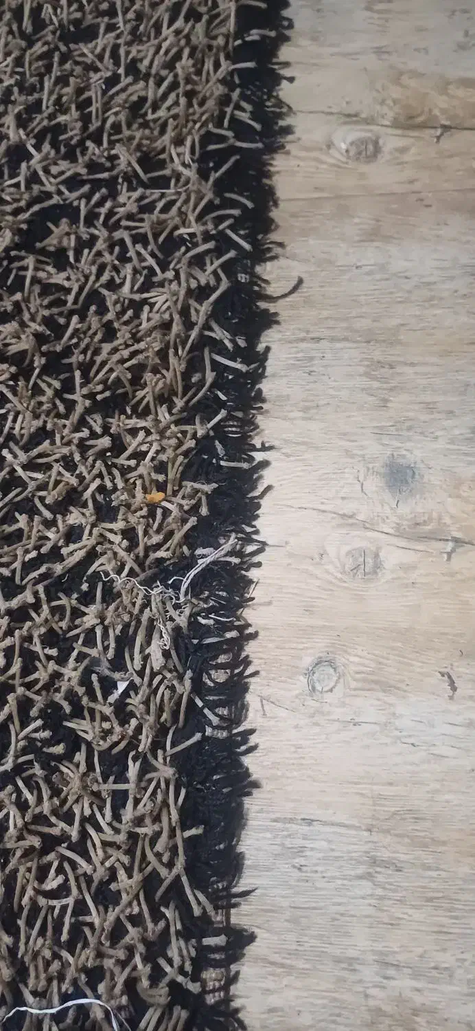 فرش ریش ریش|فرش|مشهد, تربیت (صدف)|دیوار