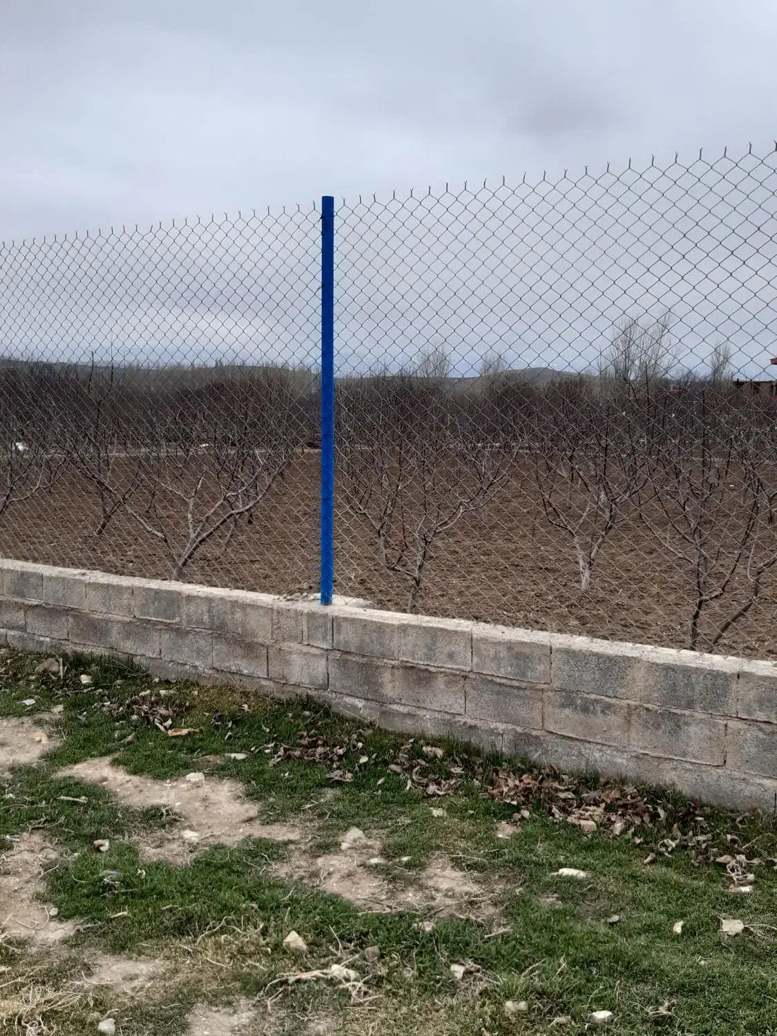 فنس کشی ساعدی|خدمات باغبانی و درختکاری|اهر, |دیوار