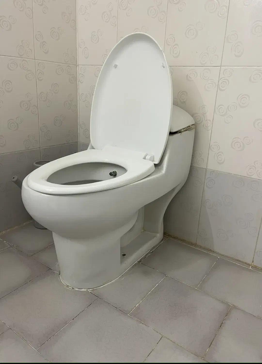 توالت فرنگی|لوازم سرویس بهداشتی|تبریز, |دیوار